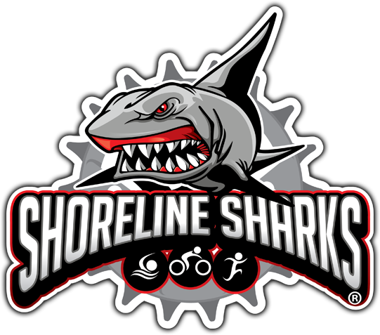 Shorline Sharks 